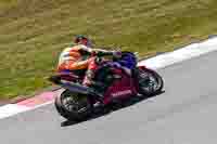 May-2023;May-2024;motorbikes;no-limits;peter-wileman-photography;portimao;portugal;trackday-digital-images